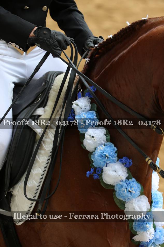 Proof 18R2_04178