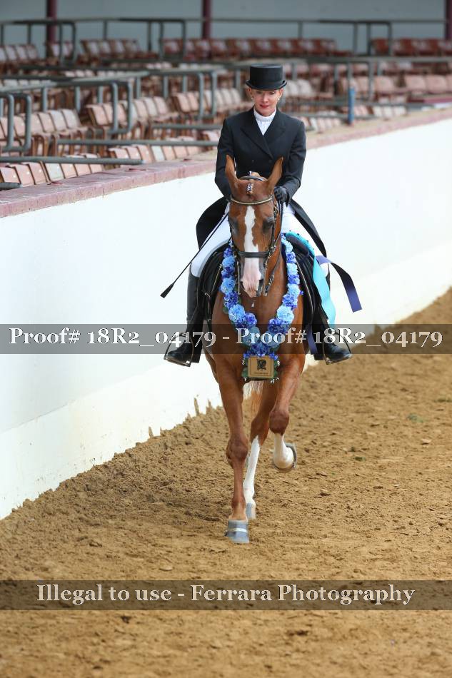 Proof 18R2_04179