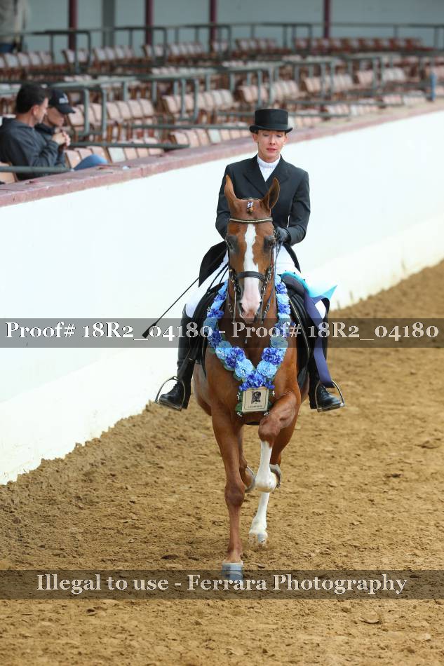 Proof 18R2_04180