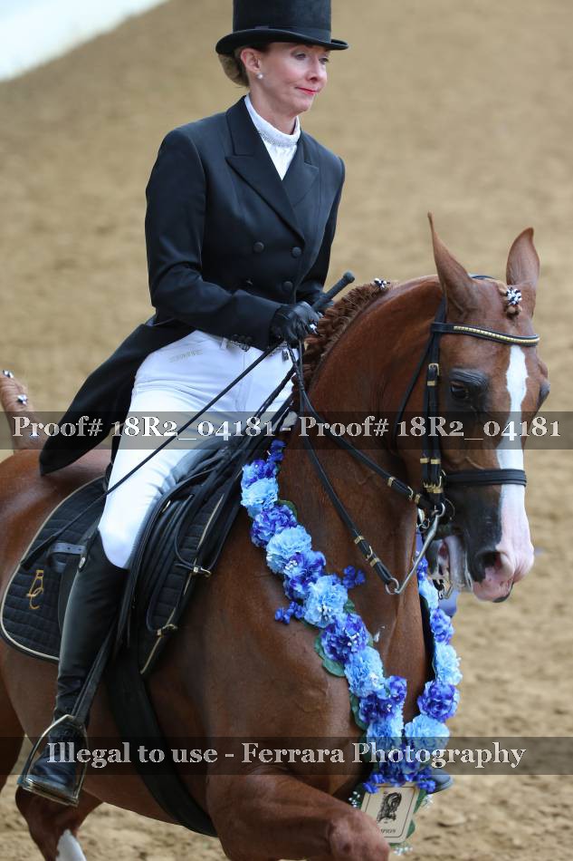 Proof 18R2_04181