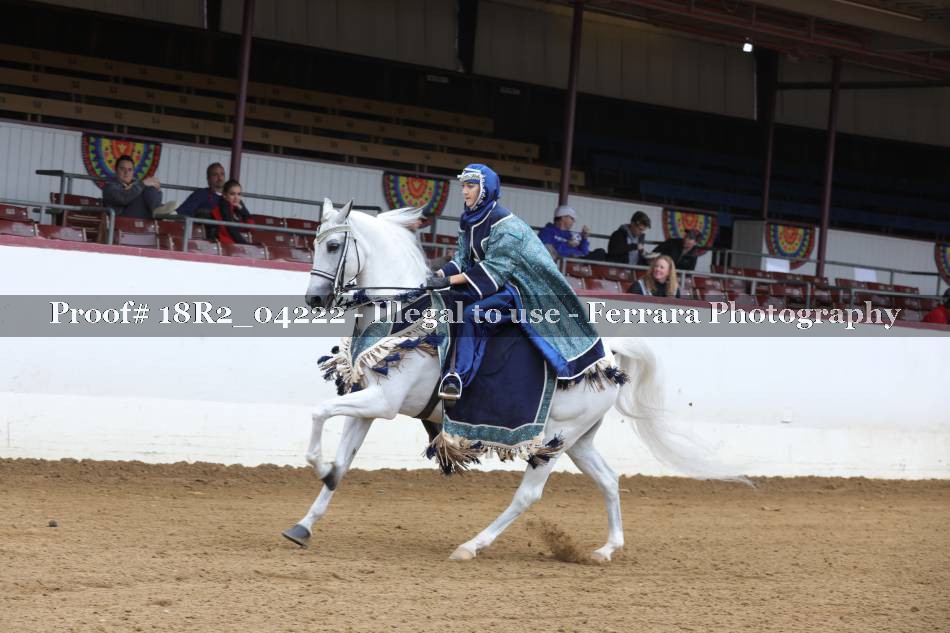 Proof 18R2_04222