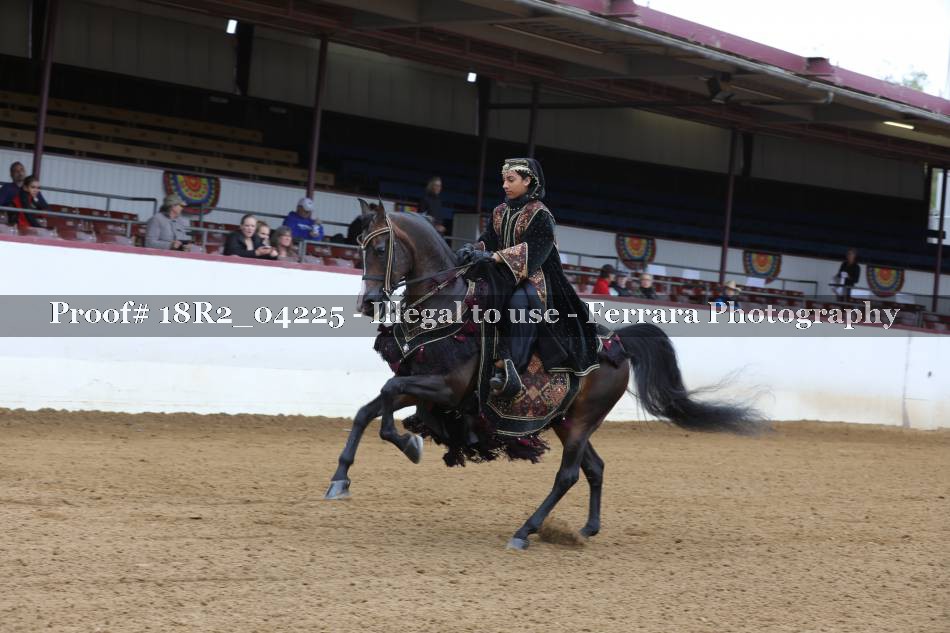 Proof 18R2_04225
