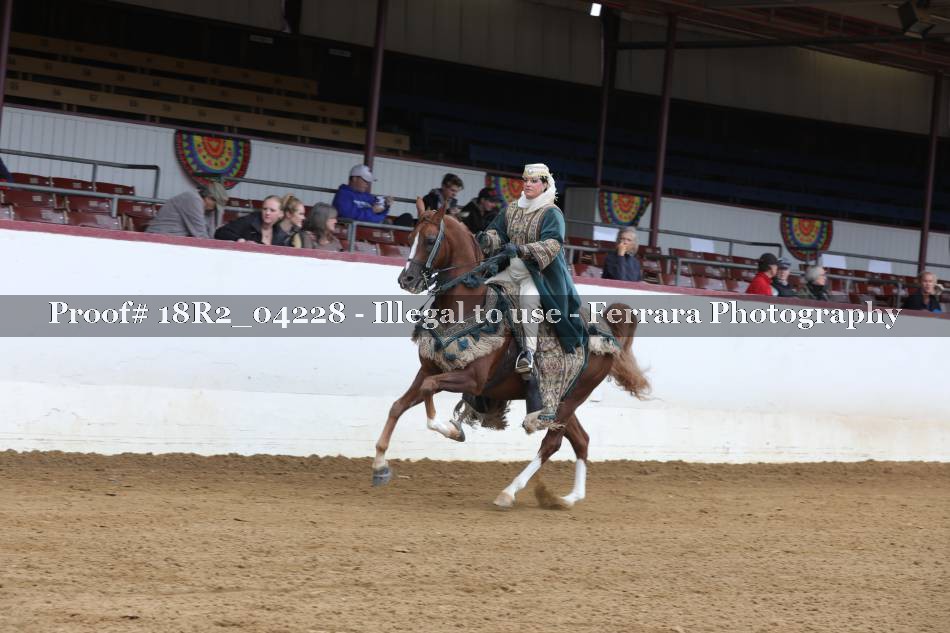Proof 18R2_04228
