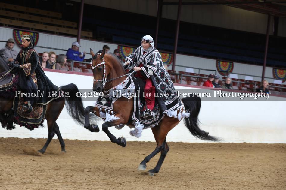 Proof 18R2_04229