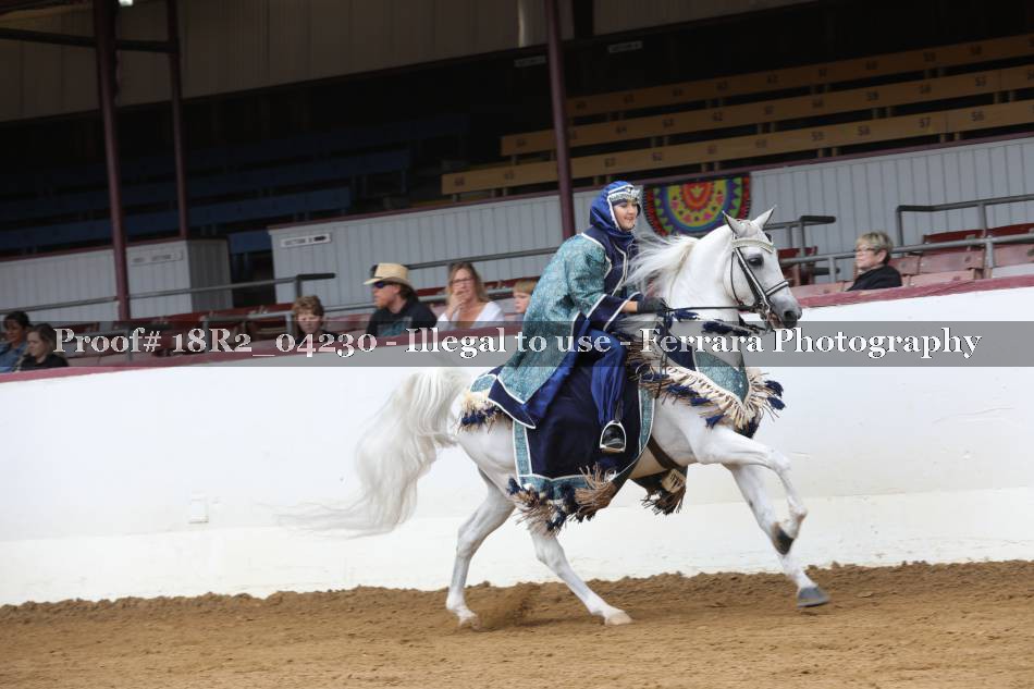 Proof 18R2_04230