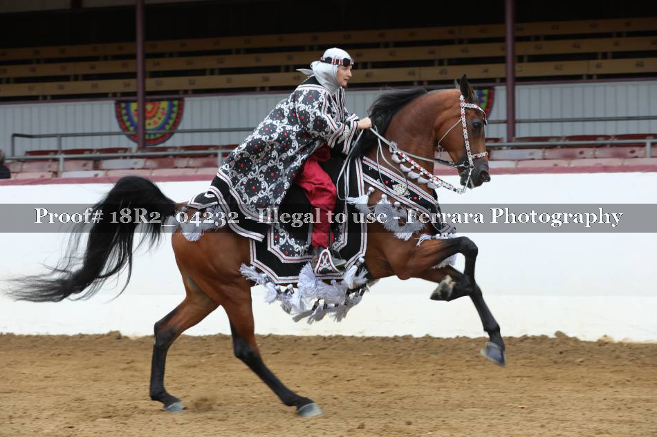 Proof 18R2_04232