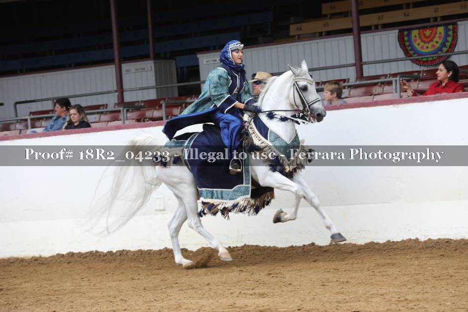Proof 18R2_04233