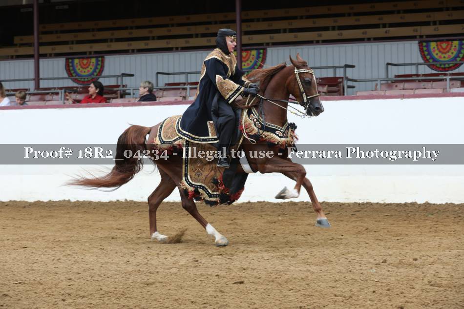 Proof 18R2_04234
