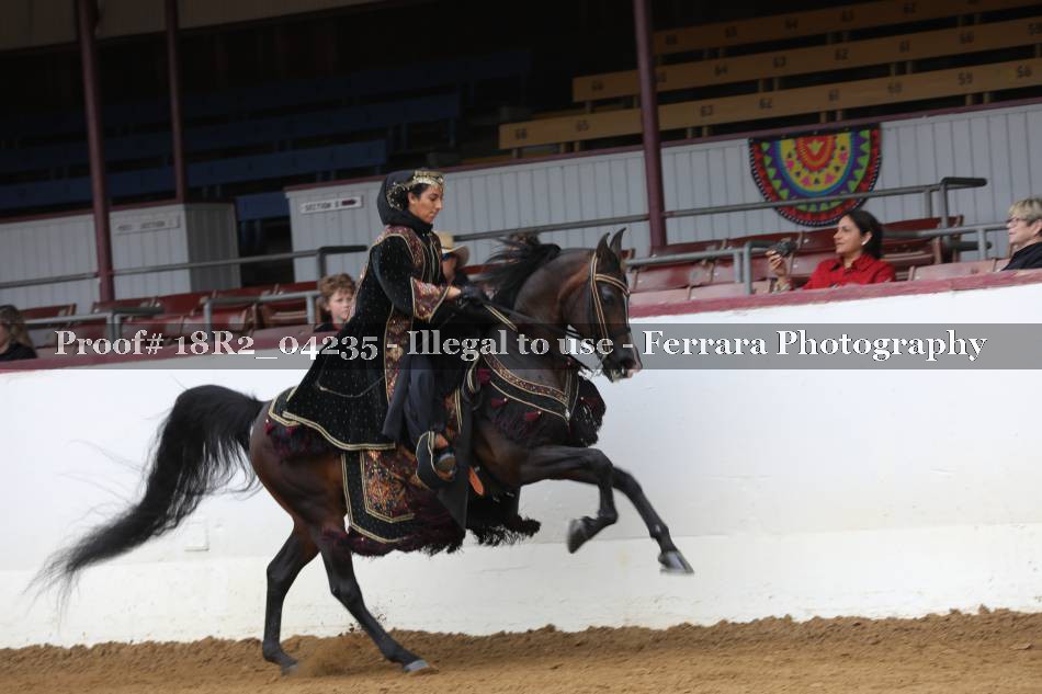 Proof 18R2_04235