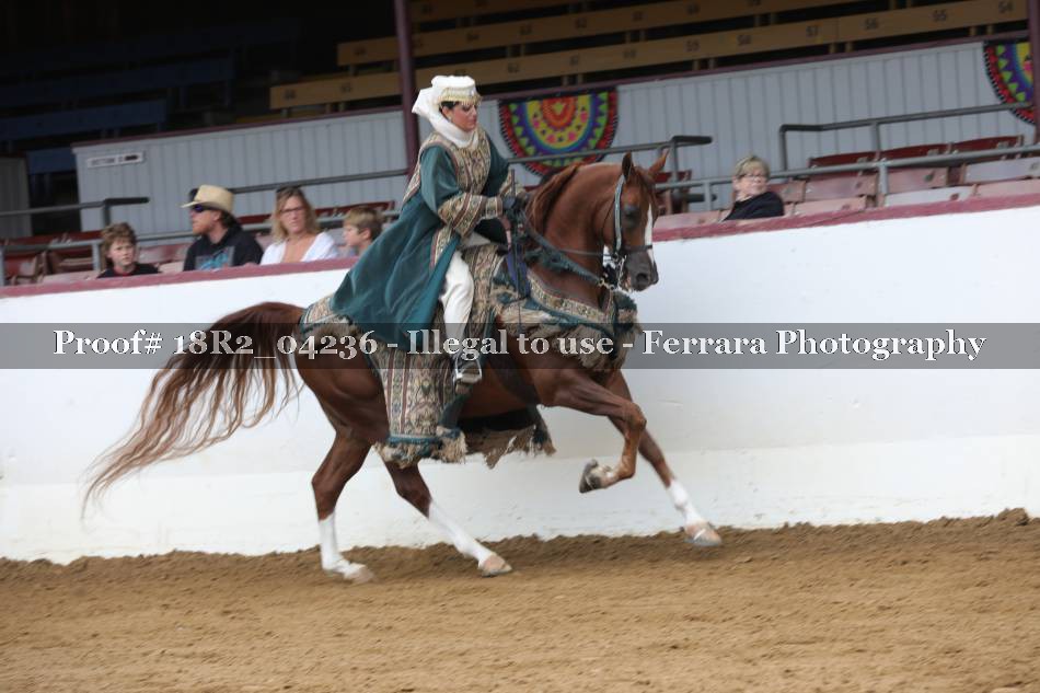 Proof 18R2_04236