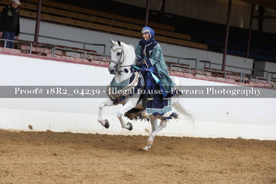 Proof 18R2_04239