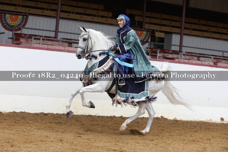 Proof 18R2_04240