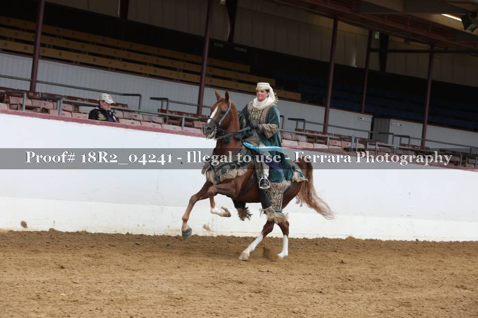 Proof 18R2_04241