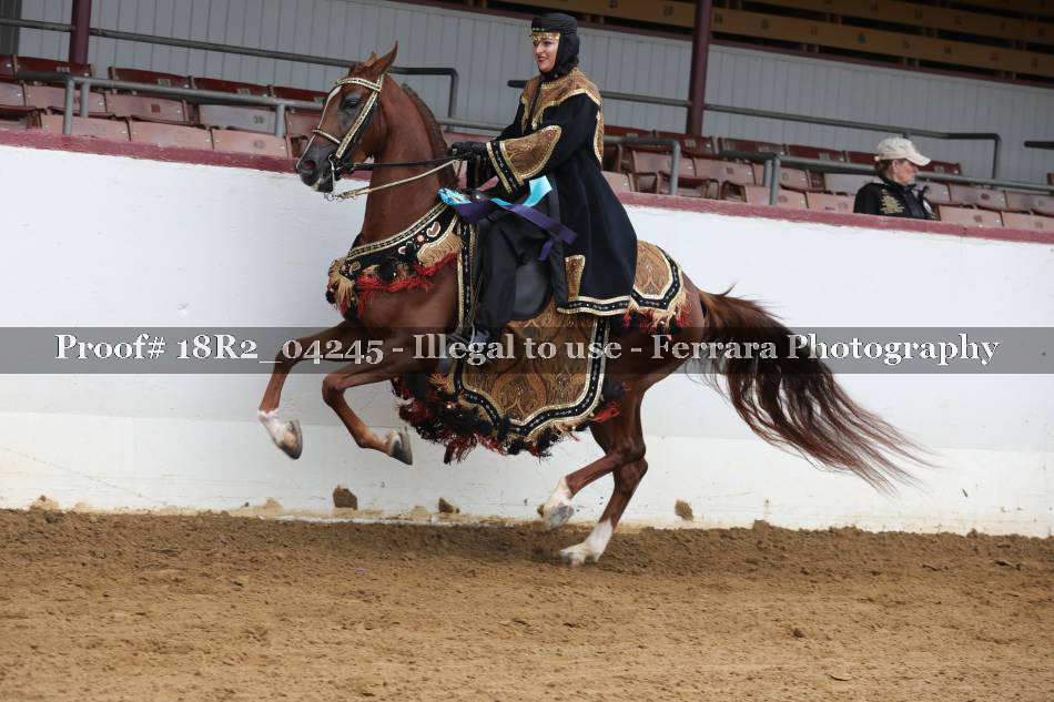 Proof 18R2_04245