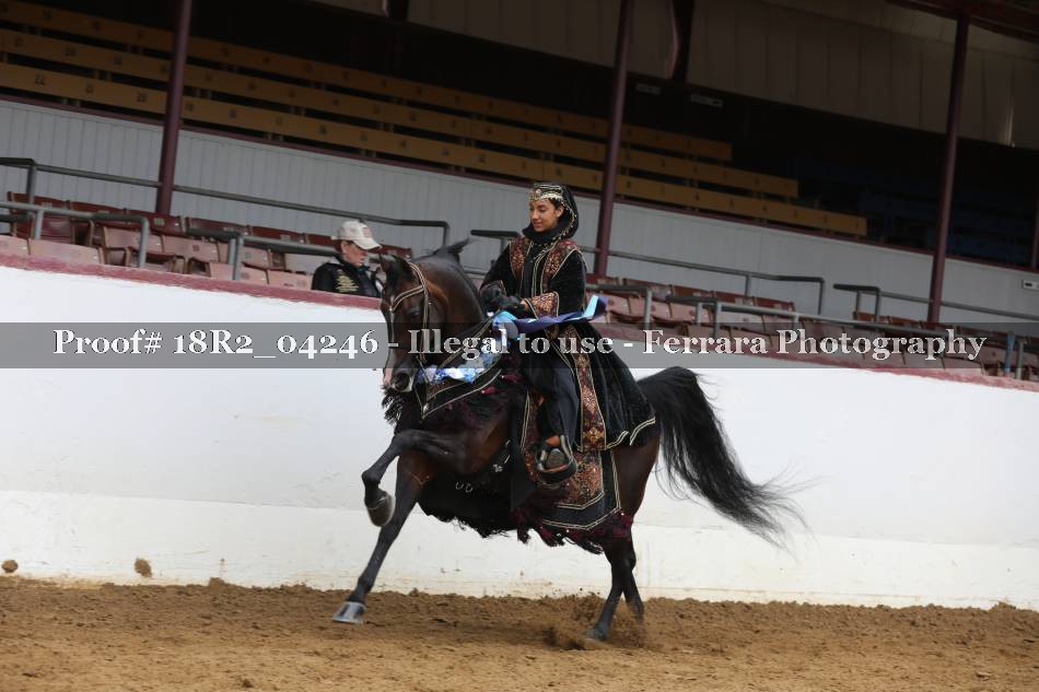 Proof 18R2_04246