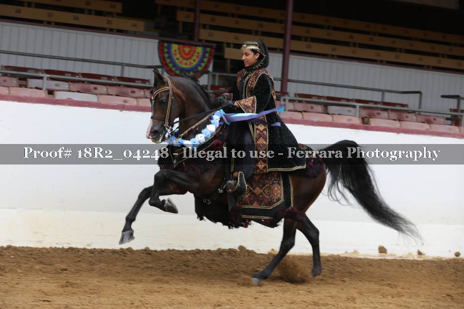 Proof 18R2_04248