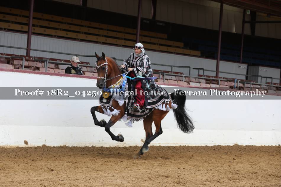 Proof 18R2_04250