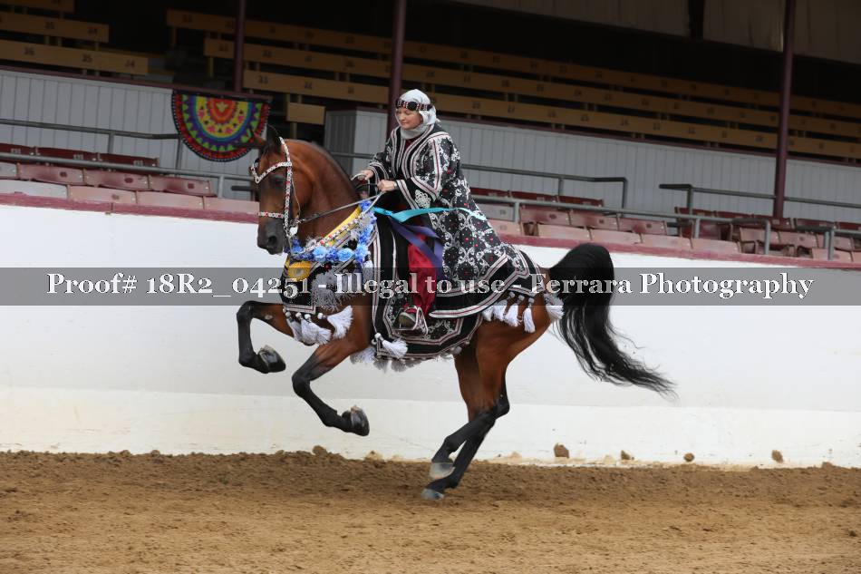 Proof 18R2_04251