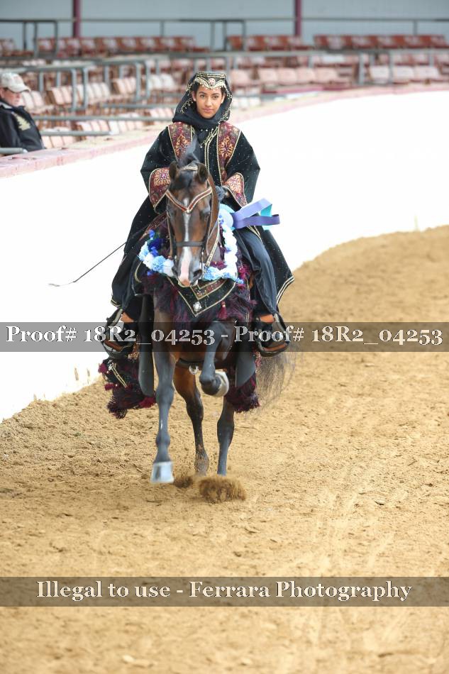Proof 18R2_04253