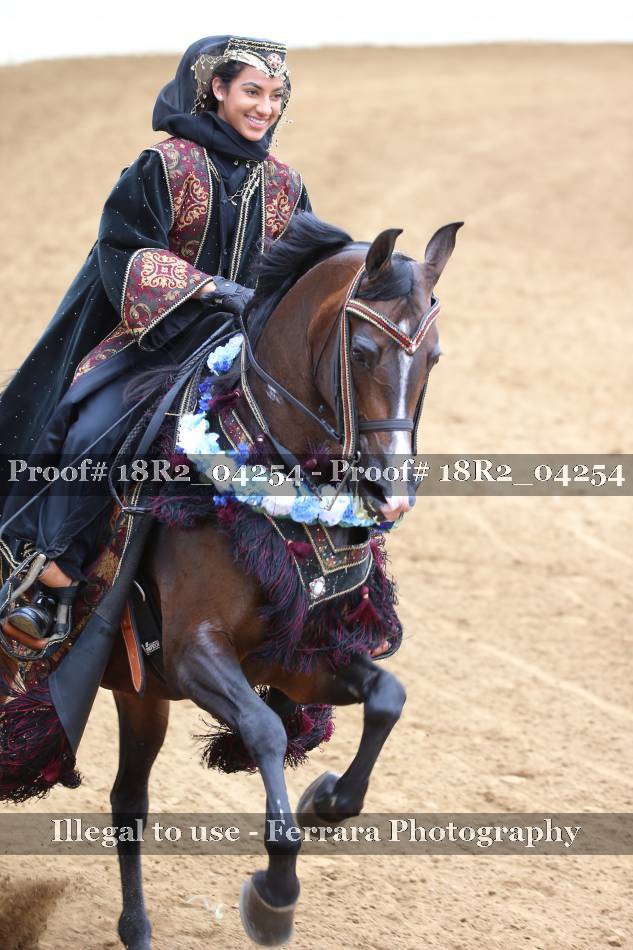 Proof 18R2_04254
