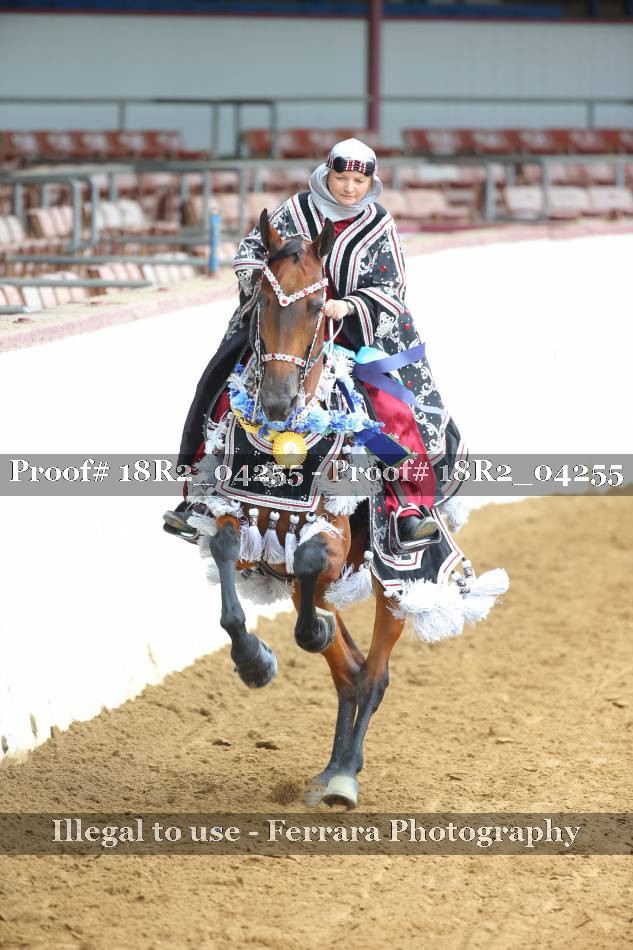 Proof 18R2_04255