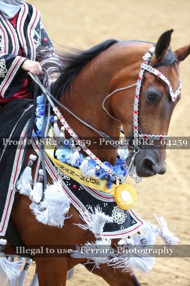 Proof 18R2_04259