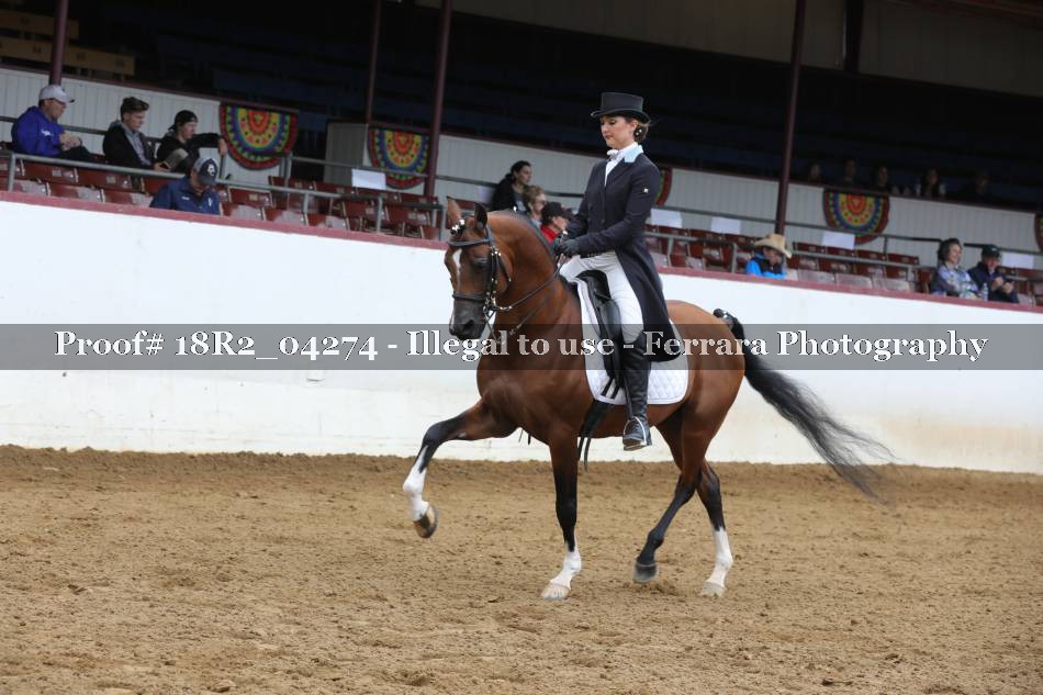 Proof 18R2_04274