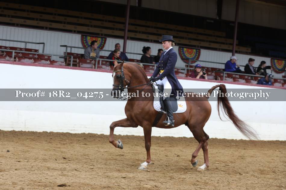 Proof 18R2_04275
