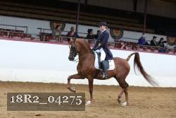 18R2_04275 proof