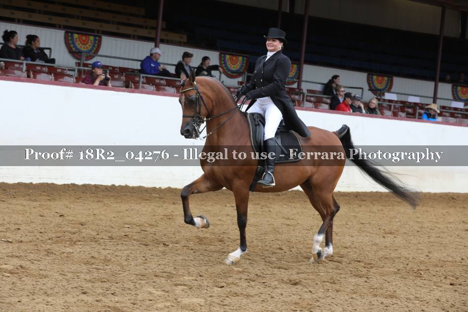 Proof 18R2_04276