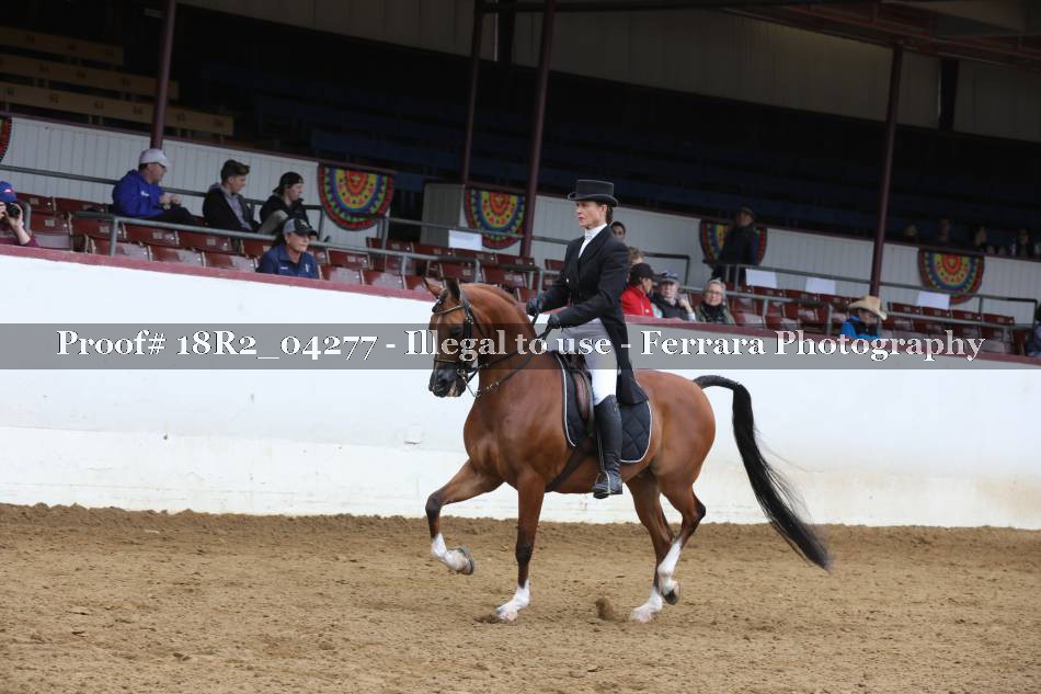 Proof 18R2_04277