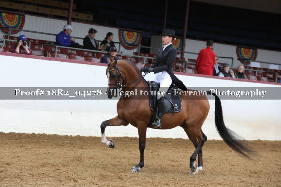 Proof 18R2_04278