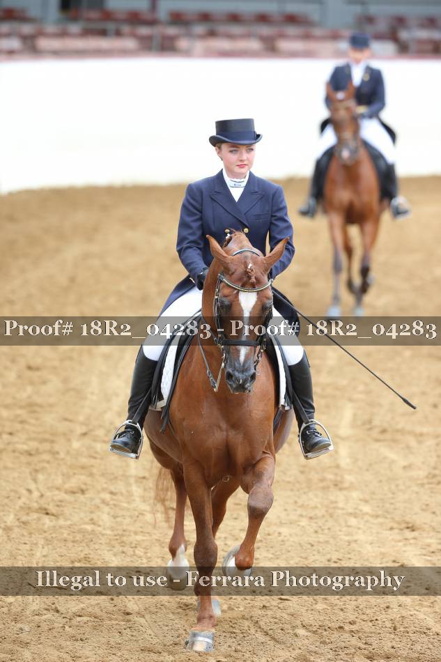 Proof 18R2_04283