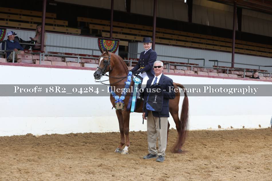 Proof 18R2_04284