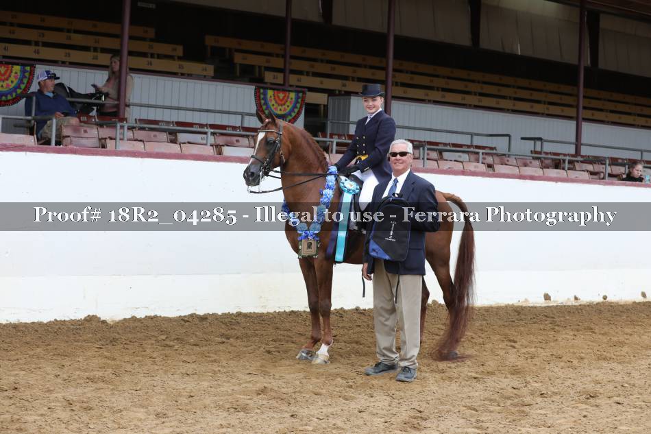 Proof 18R2_04285