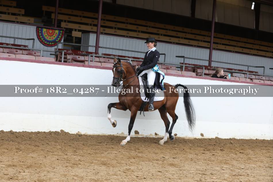 Proof 18R2_04287