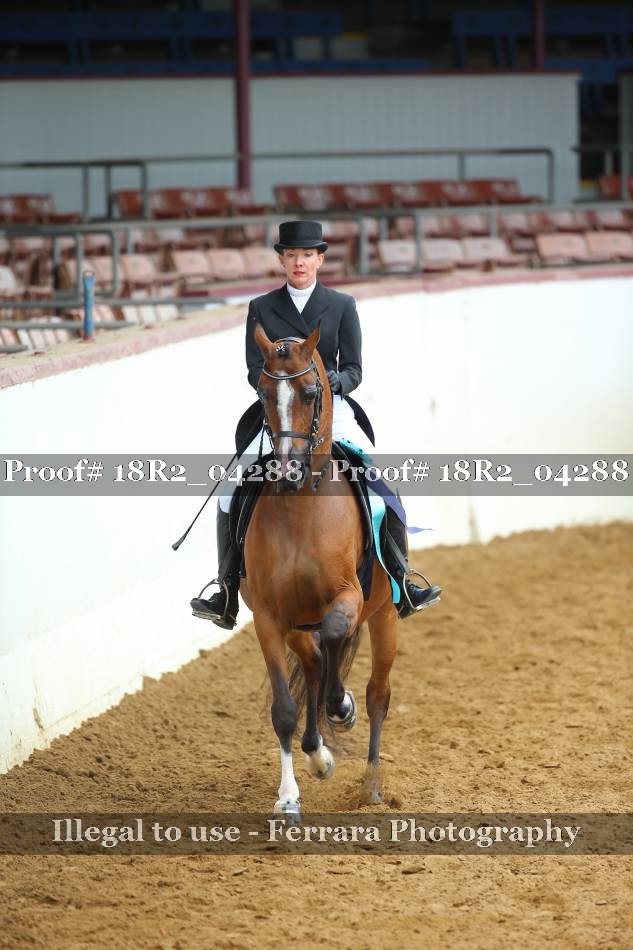 Proof 18R2_04288
