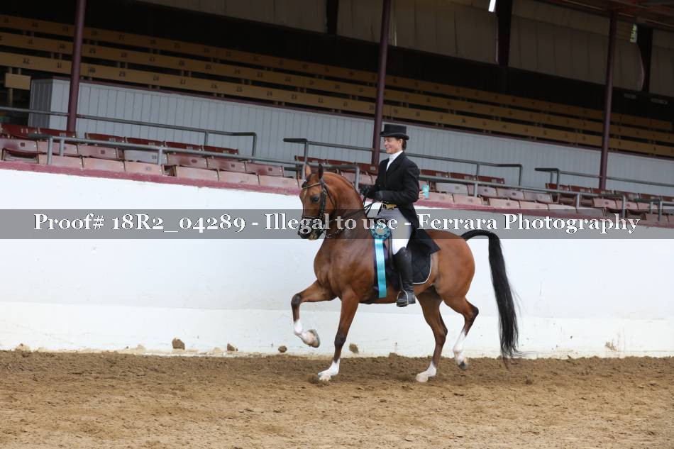Proof 18R2_04289