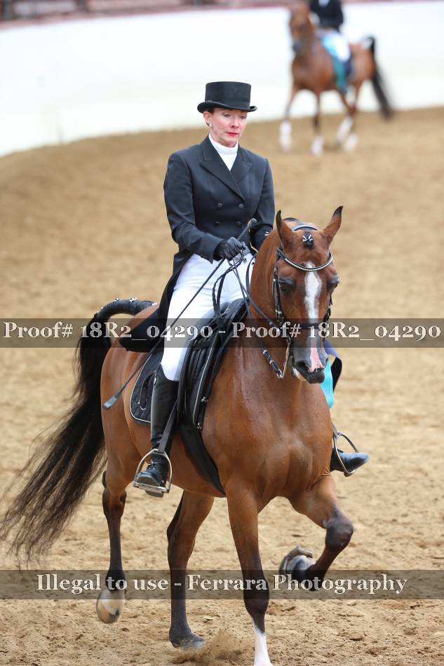 Proof 18R2_04290
