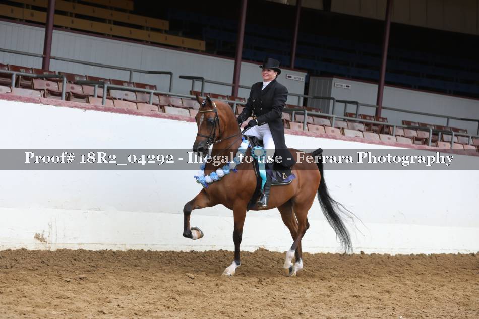 Proof 18R2_04292