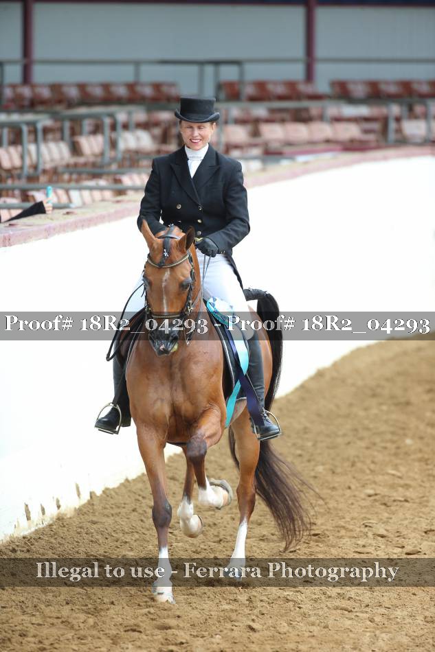 Proof 18R2_04293