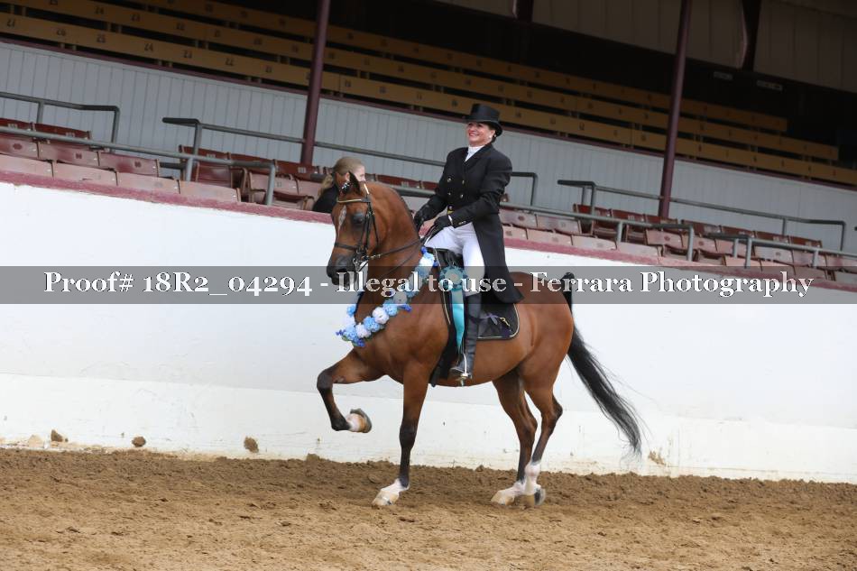 Proof 18R2_04294