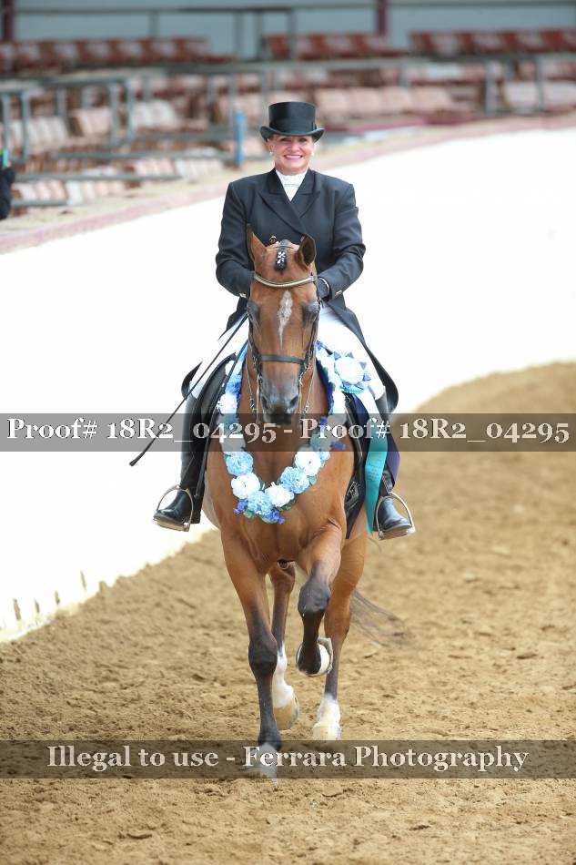 Proof 18R2_04295