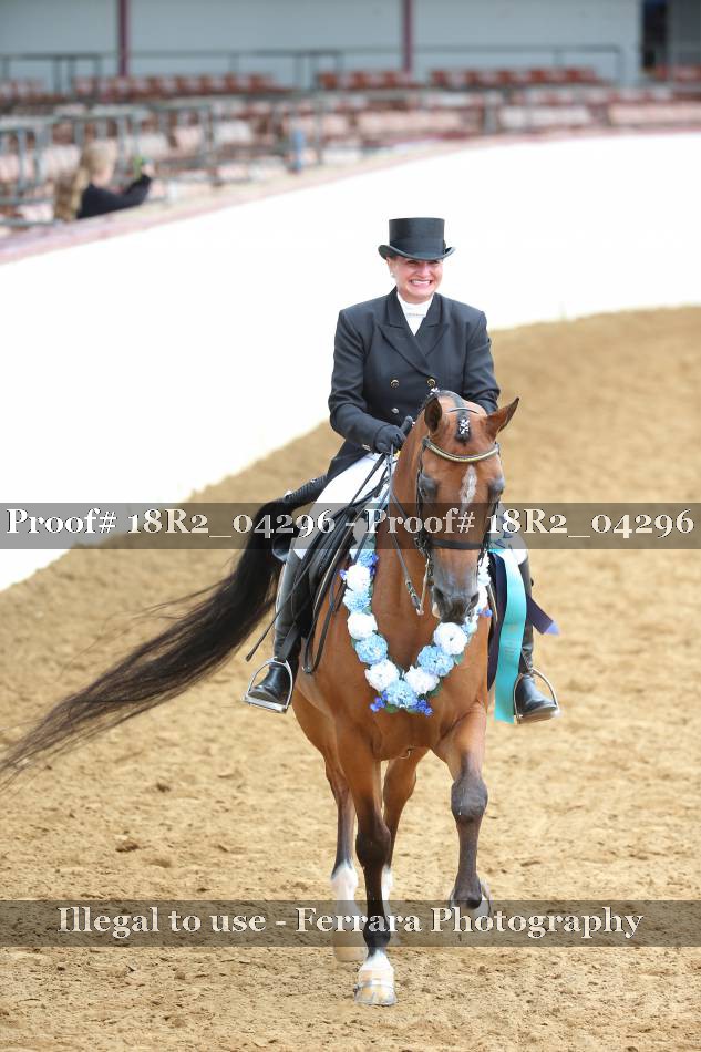 Proof 18R2_04296