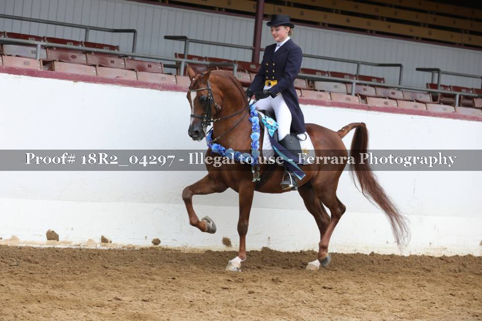 Proof 18R2_04297