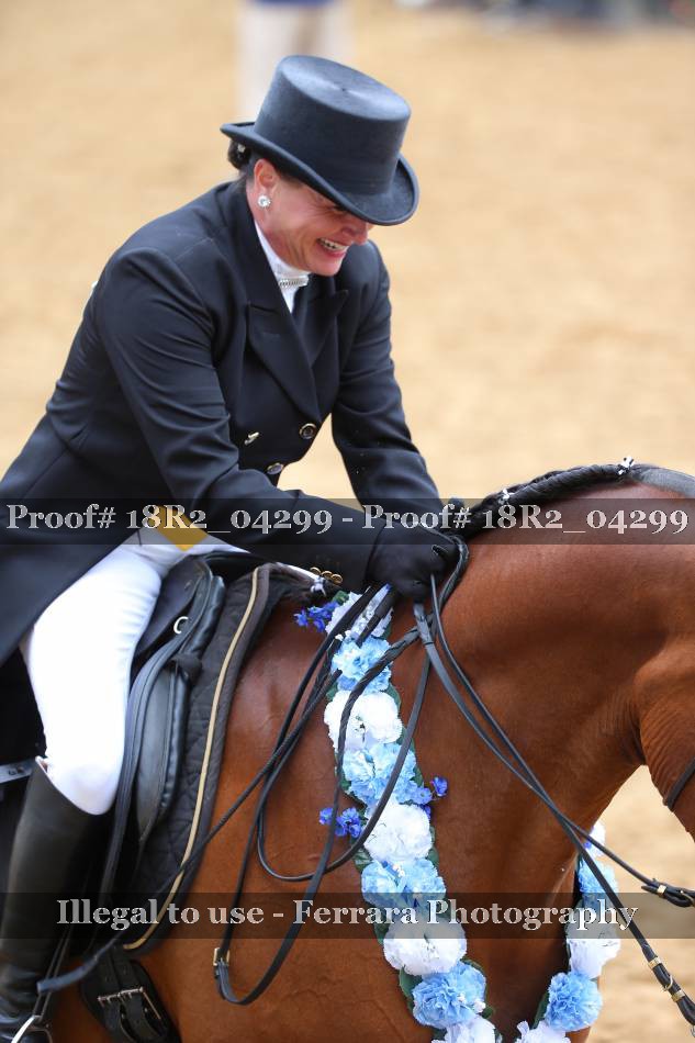 Proof 18R2_04299