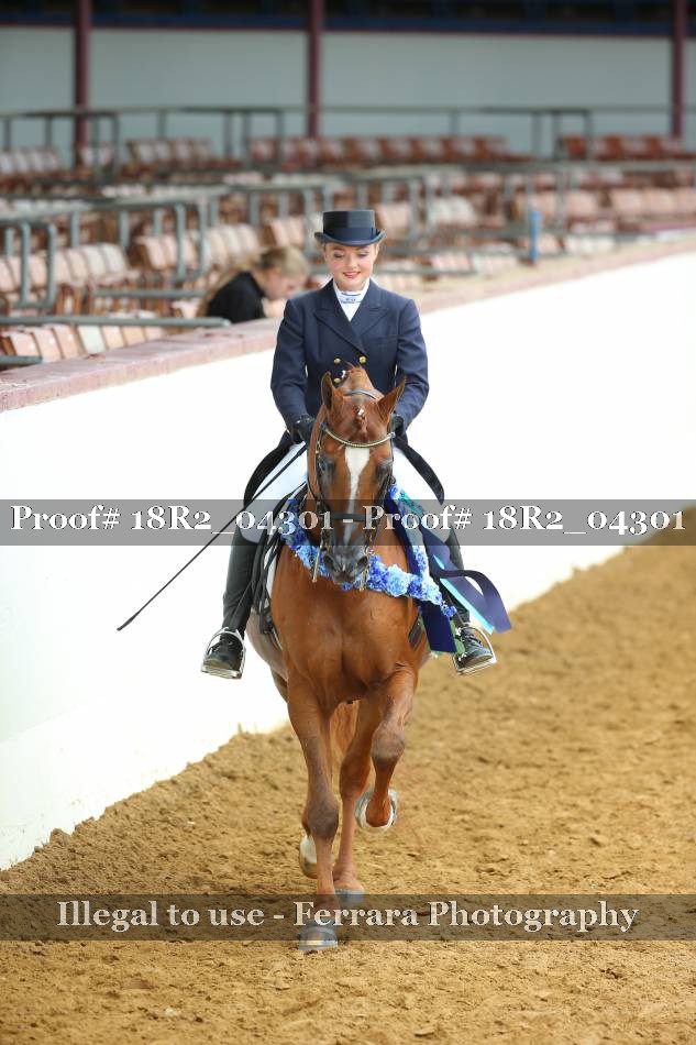 Proof 18R2_04301