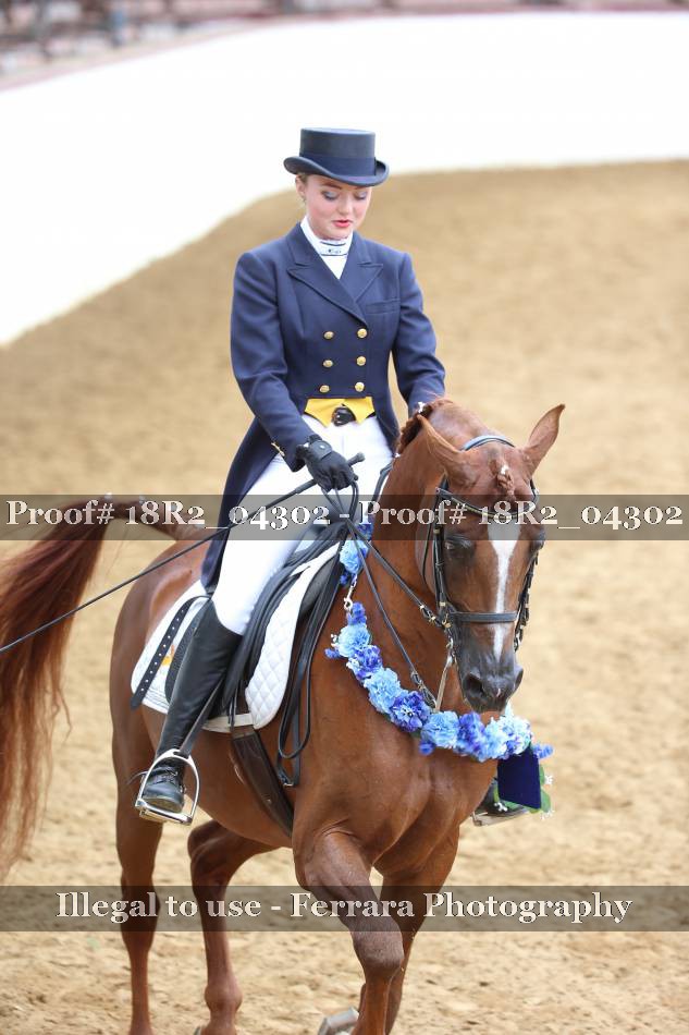 Proof 18R2_04302