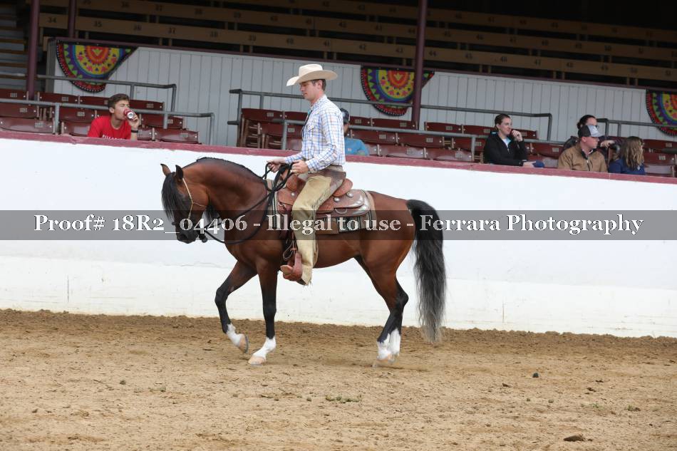 Proof 18R2_04406