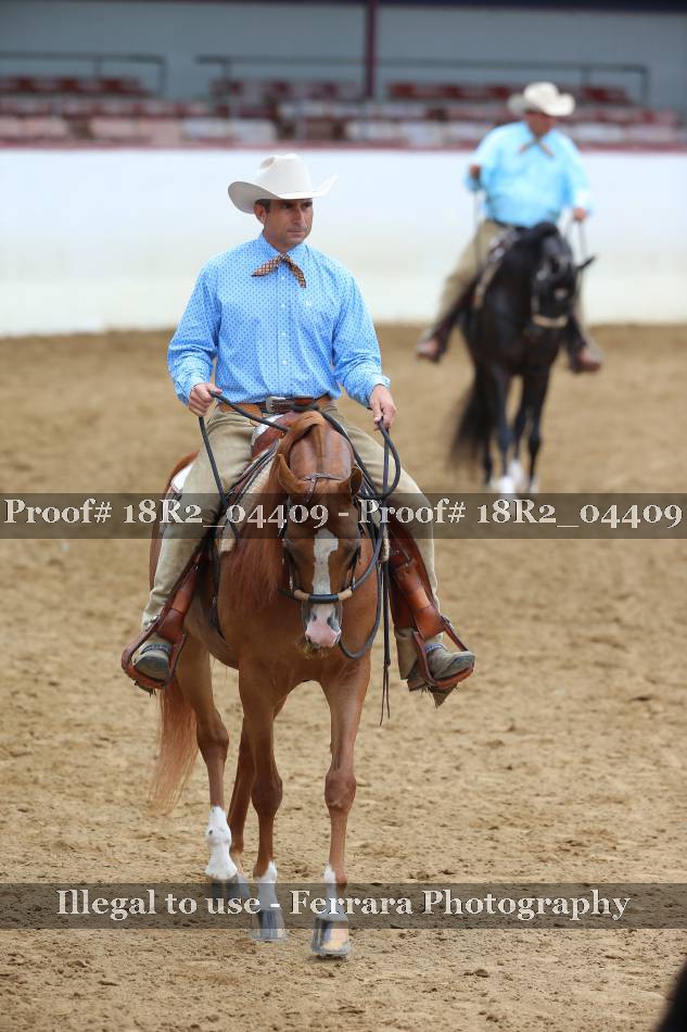 Proof 18R2_04409